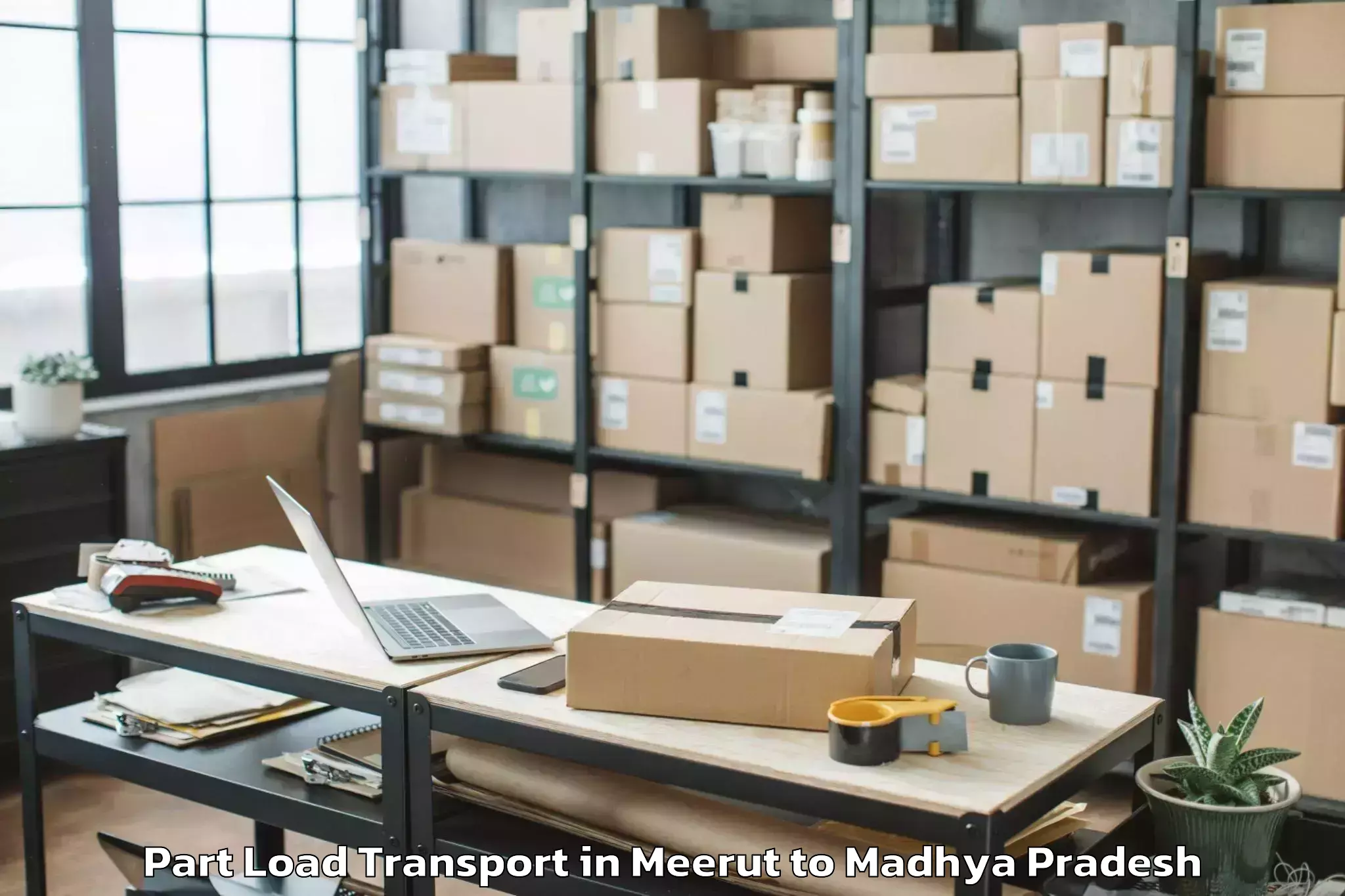 Book Your Meerut to Shujalpur Part Load Transport Today